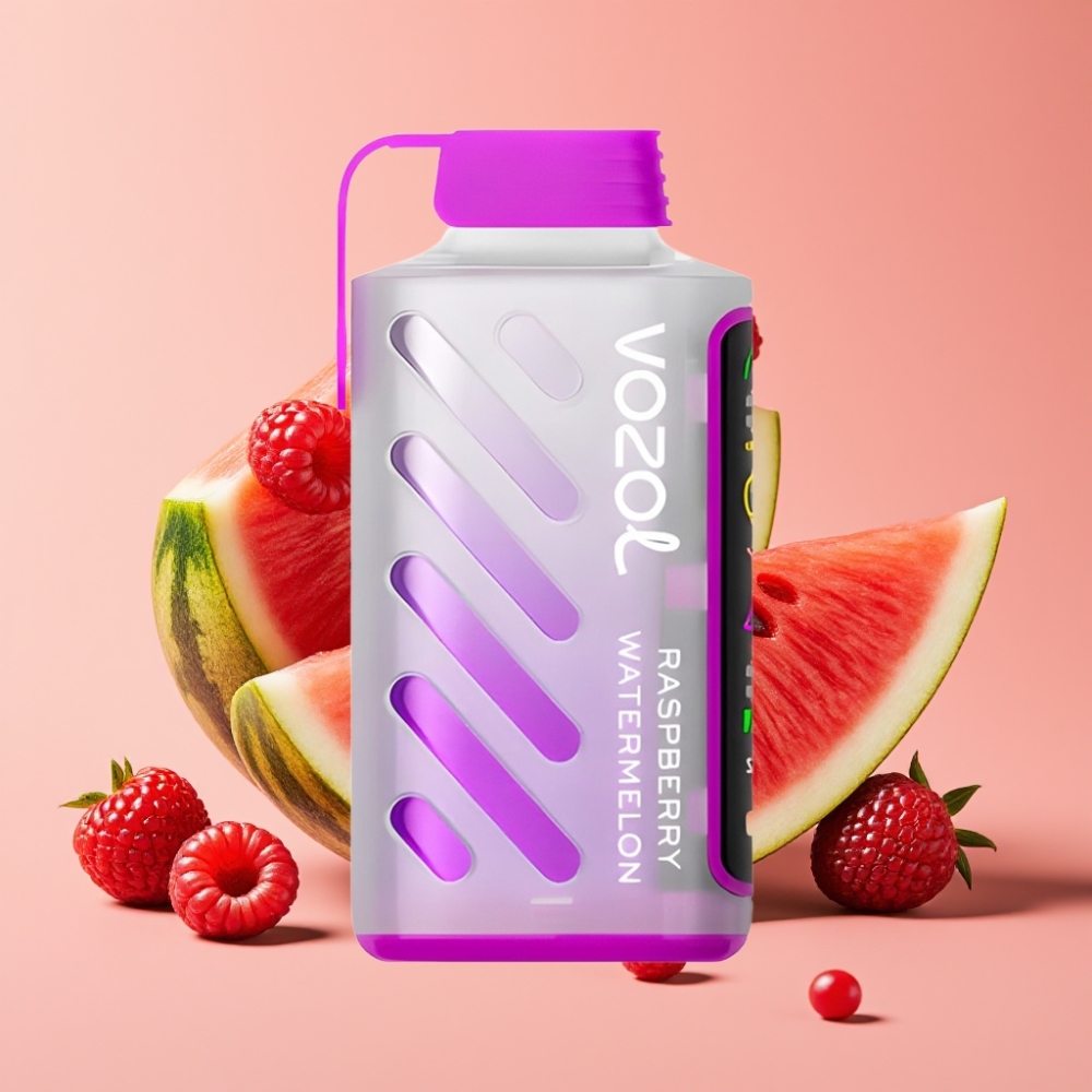 VOZOL Gear Power 20000 Puffs Dual Mesh Coil 20mL Himbeer Wassermelone