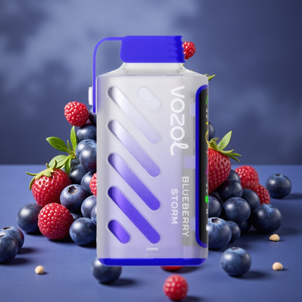 VOZOL Gear Power 20000 Puffs S.i.L.C. Tech Dual Mesh Coil Blaubeer-Sturm