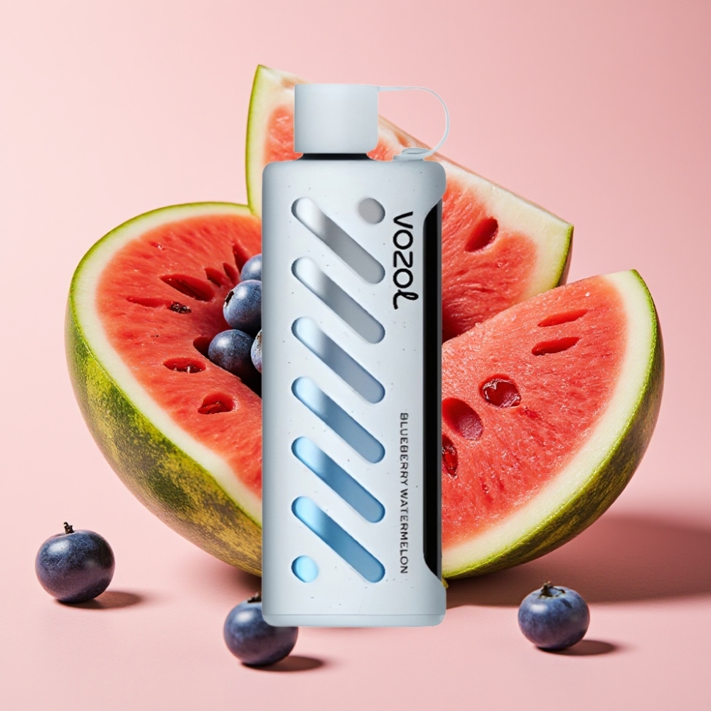 VOZOL Gear Shisha 25000 Puffs Dual Mesh 1000mAh Blaubeere Wassermelone