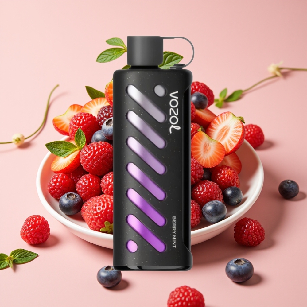 VOZOL Gear Shisha 25000 Puffs Dual Mesh Berry Minze