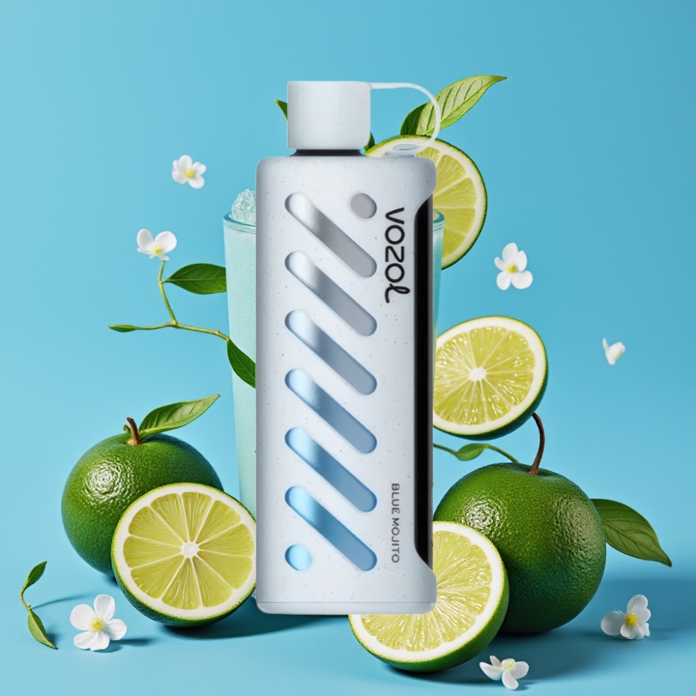 VOZOL Gear Shisha 25000 Puffs Dual Mesh Dual Modes 1000mAh Blue Mojito (Blaue Mojito)