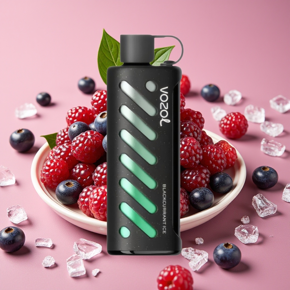 VOZOL Gear Shisha 25000 Puffs Dual Mesh Dual Modes 1000mAh Schwarze Johannisbeere Eis