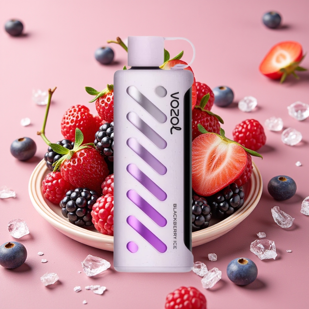 VOZOL Gear Shisha 25000 Puffs Dual Mesh Dual Modes Blackberry-Eis