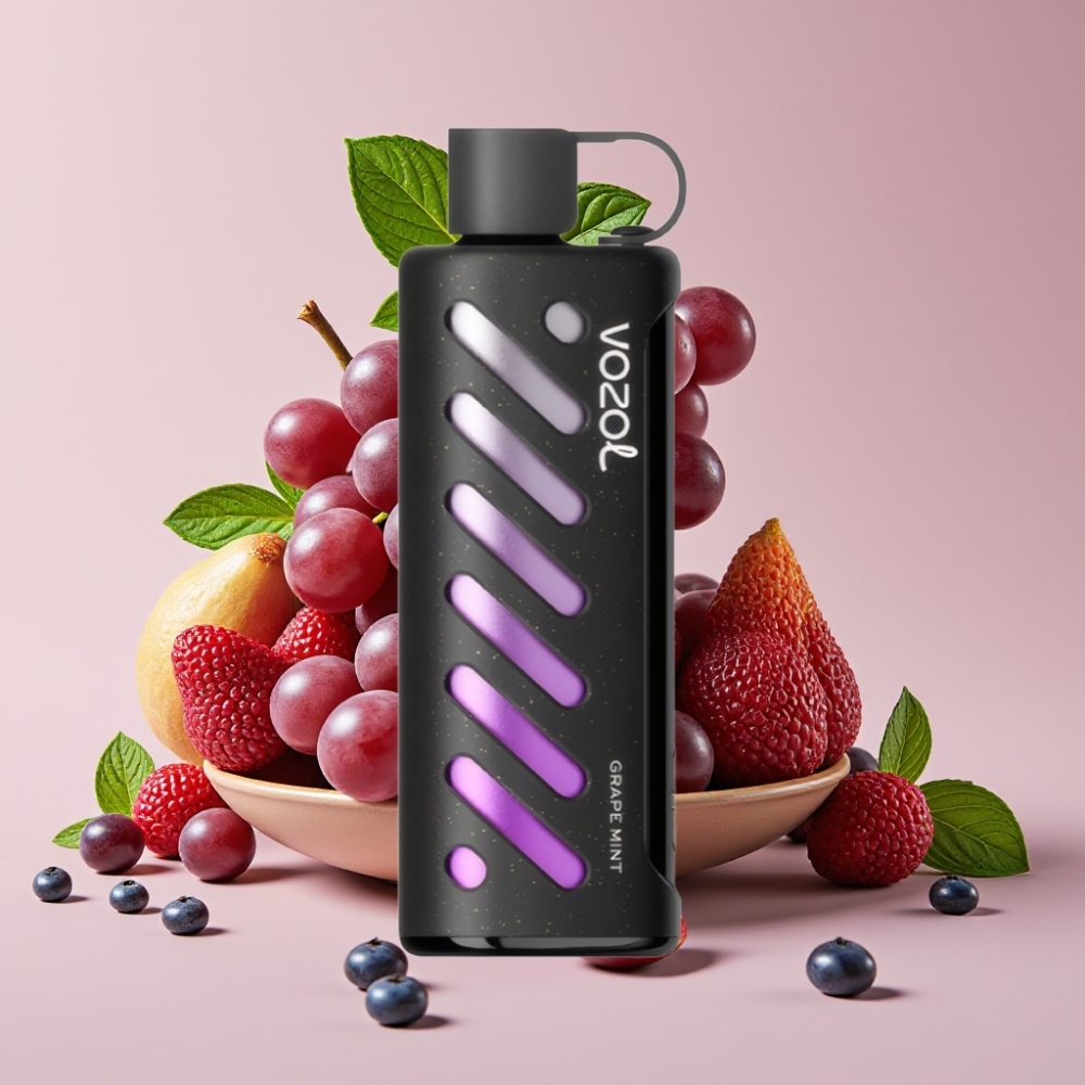 VOZOL Gear Shisha 25000 Puffs Dual Mesh Grape Minze