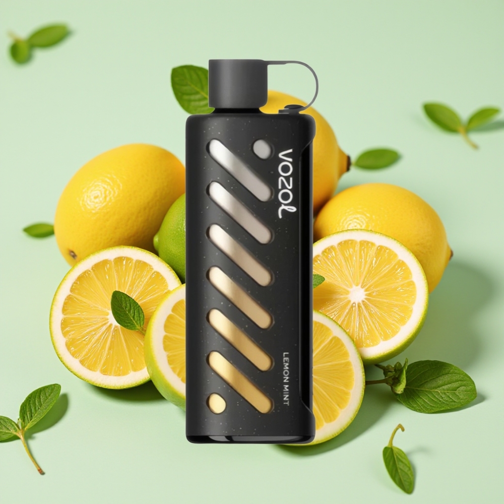 VOZOL Gear Shisha 25000 Puffs Dual Mesh Lemon Minze