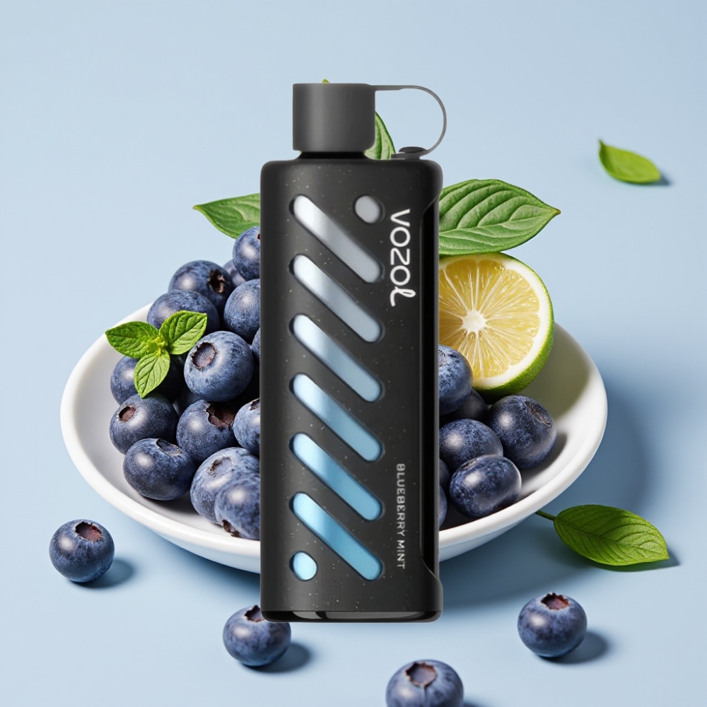 VOZOL Gear Shisha 25000 Puffs Dual Mesh S.i.L.C Tech Heidelbeer-Minze