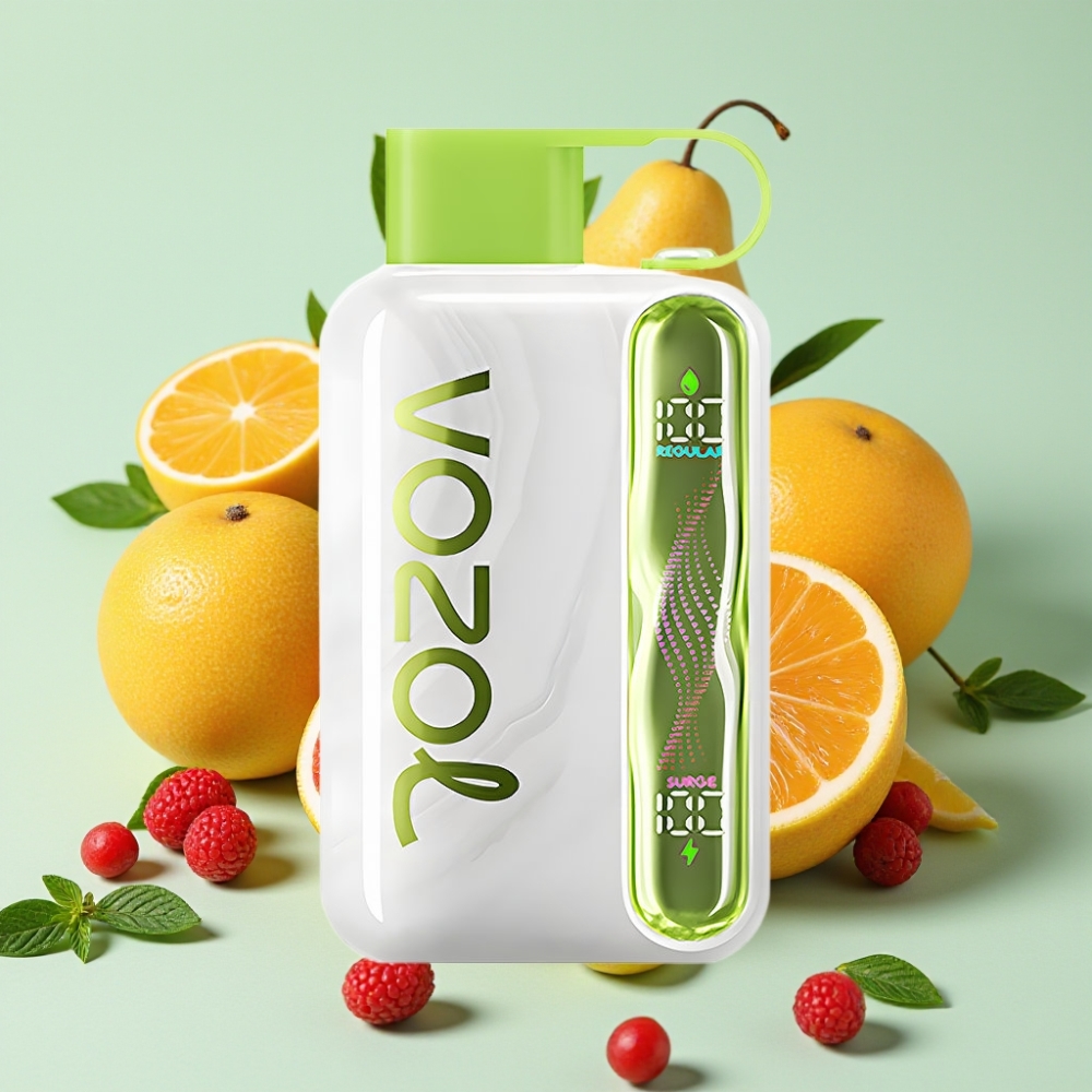 VOZOL STAR 40000 Puffs 1000mAh Typ-C Kühle Minze großhandel Schweiz