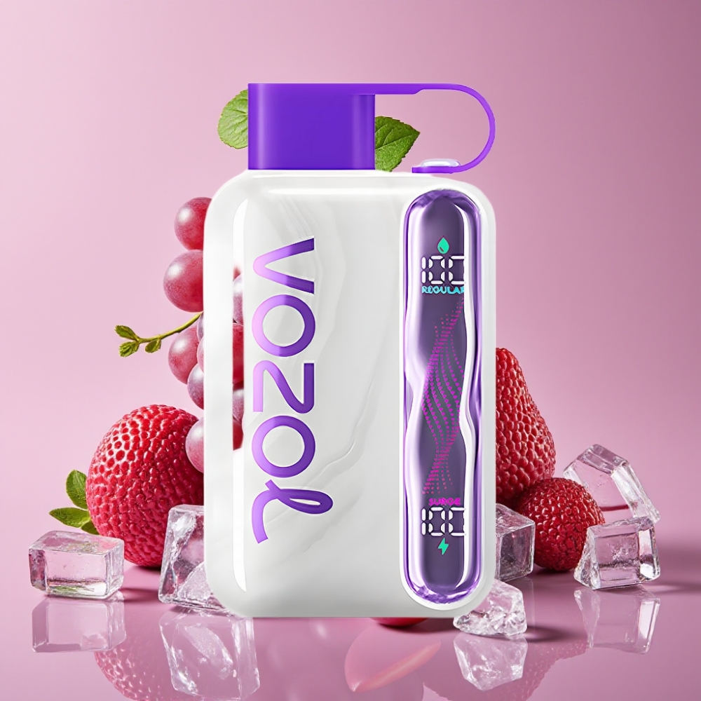 VOZOL STAR 40000 Puffs 1000mAh Type-C Grape Ice Traube Eis