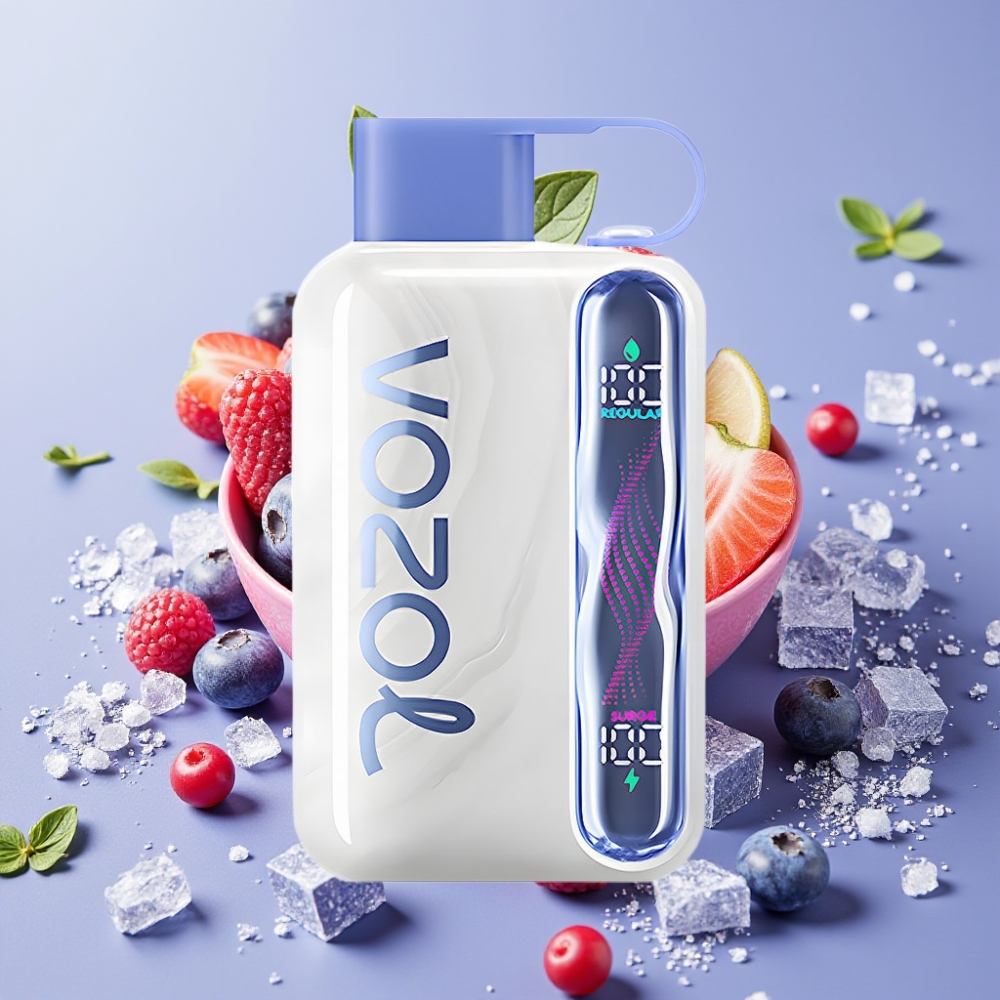 VOZOL STAR 40000 Puffs 1000mAh Type-C Heidelbeer-Eis