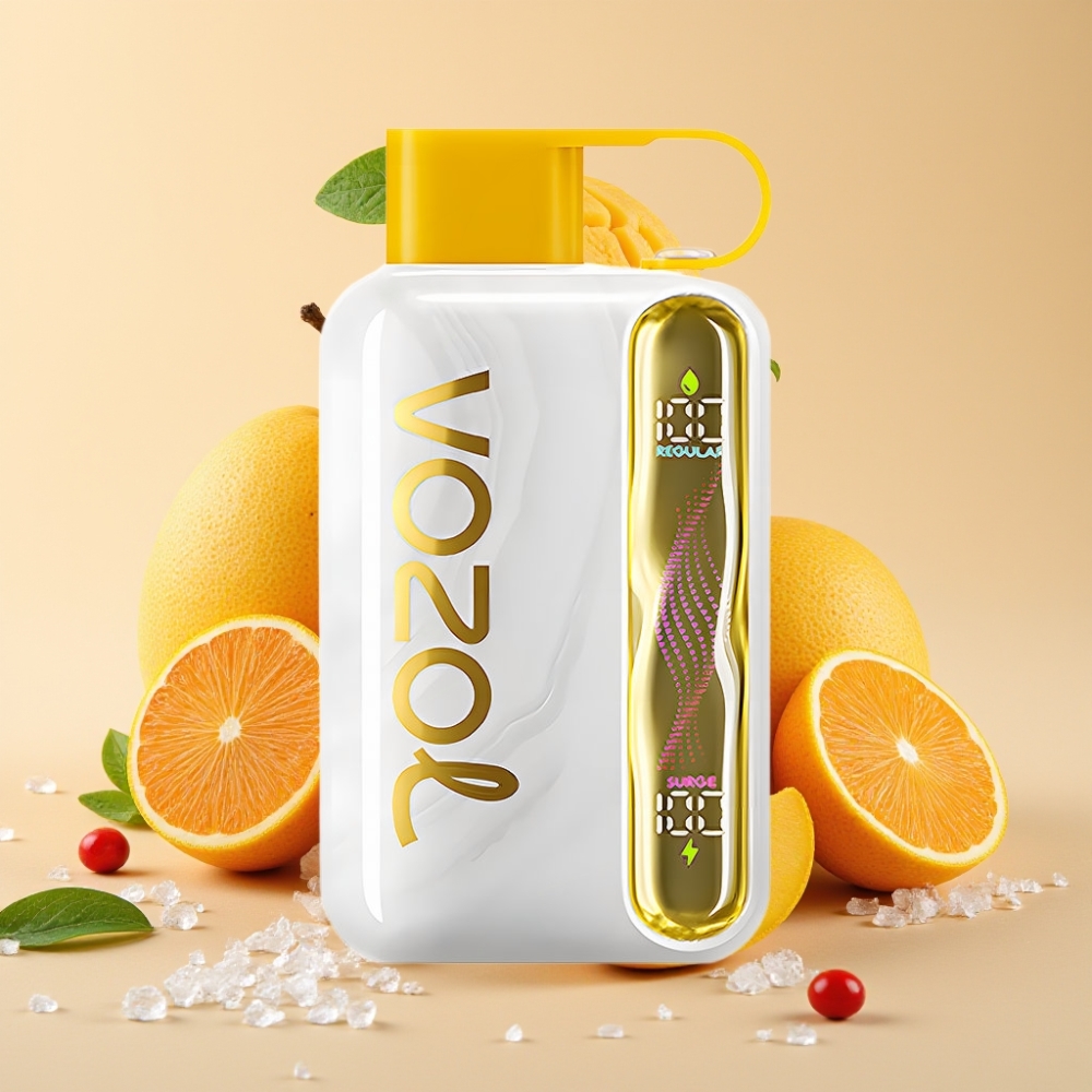 VOZOL STAR 40000 Puffs 1000mAh Type-C Mango Eis großhandel Schweiz