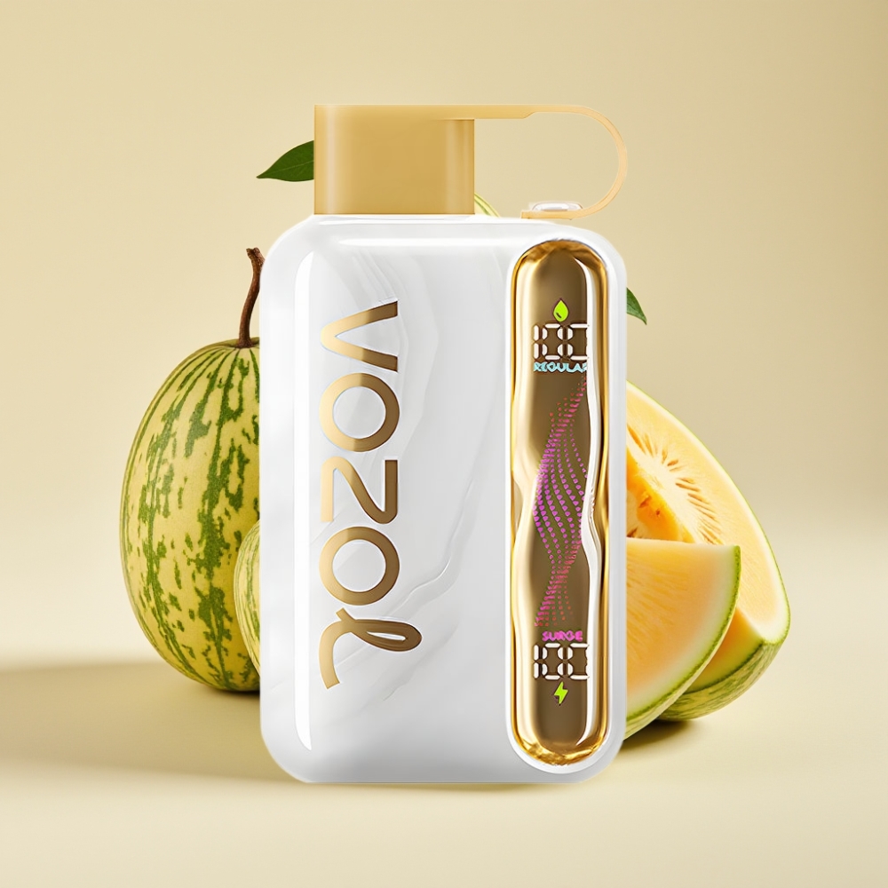 VOZOL STAR 40000 Puffs 1000mAh Type-C Melon Gum großhandel Schweiz