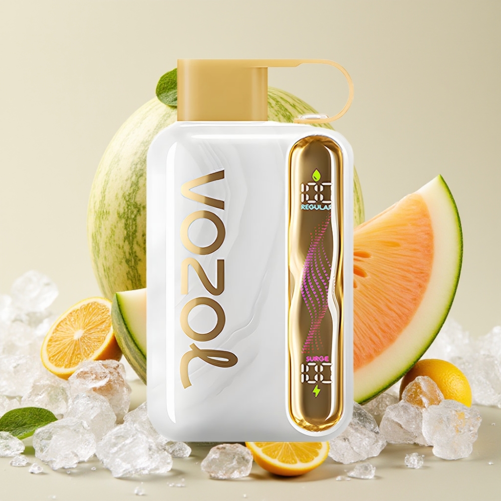 VOZOL STAR 40000 Puffs 1000mAh Type-C Meloneis großhandel Schweiz