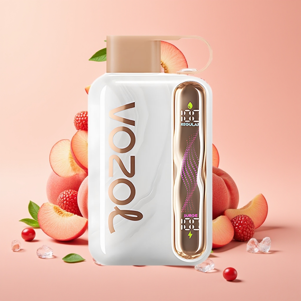 VOZOL STAR 40000 Puffs 1000mAh Type-C Pfirsich-Eis großhandel Schweiz
