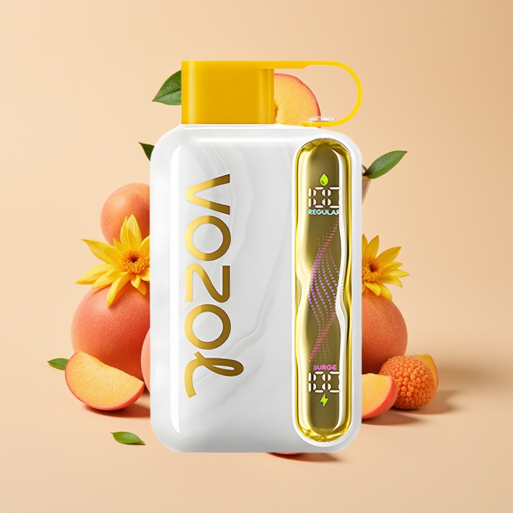 VOZOL STAR 40000 Puffs Disposable Vape 1000mAh Type-C Mango-Pfirsich