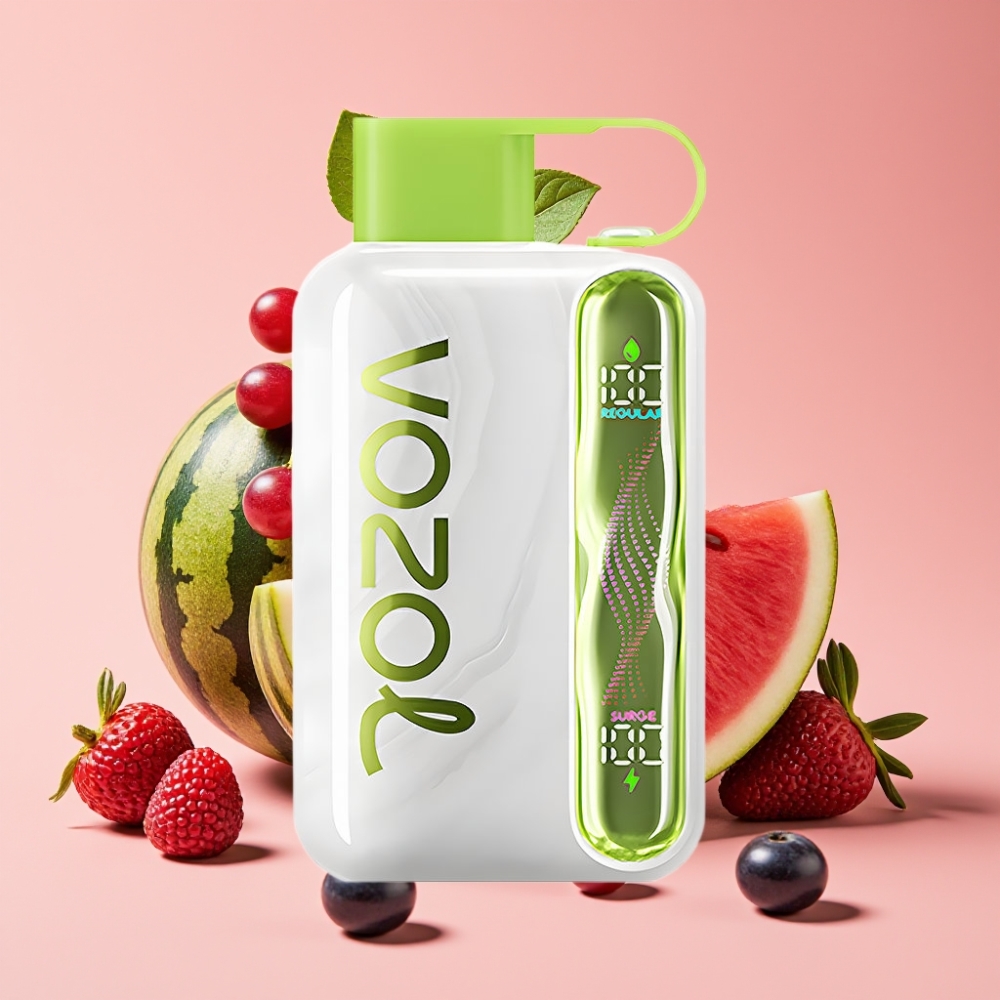VOZOL STAR 40000 Puffs Disposable Vape 1000mAh Type-C Wassermelone Traube Boysenbeere