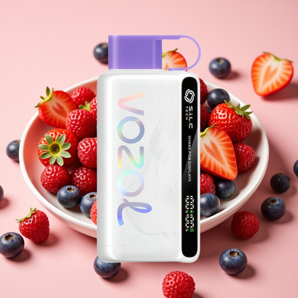 VOZOL STAR 9000 12000 Disposable Vape S.i.L.C TECH 650mAh Beerenmix