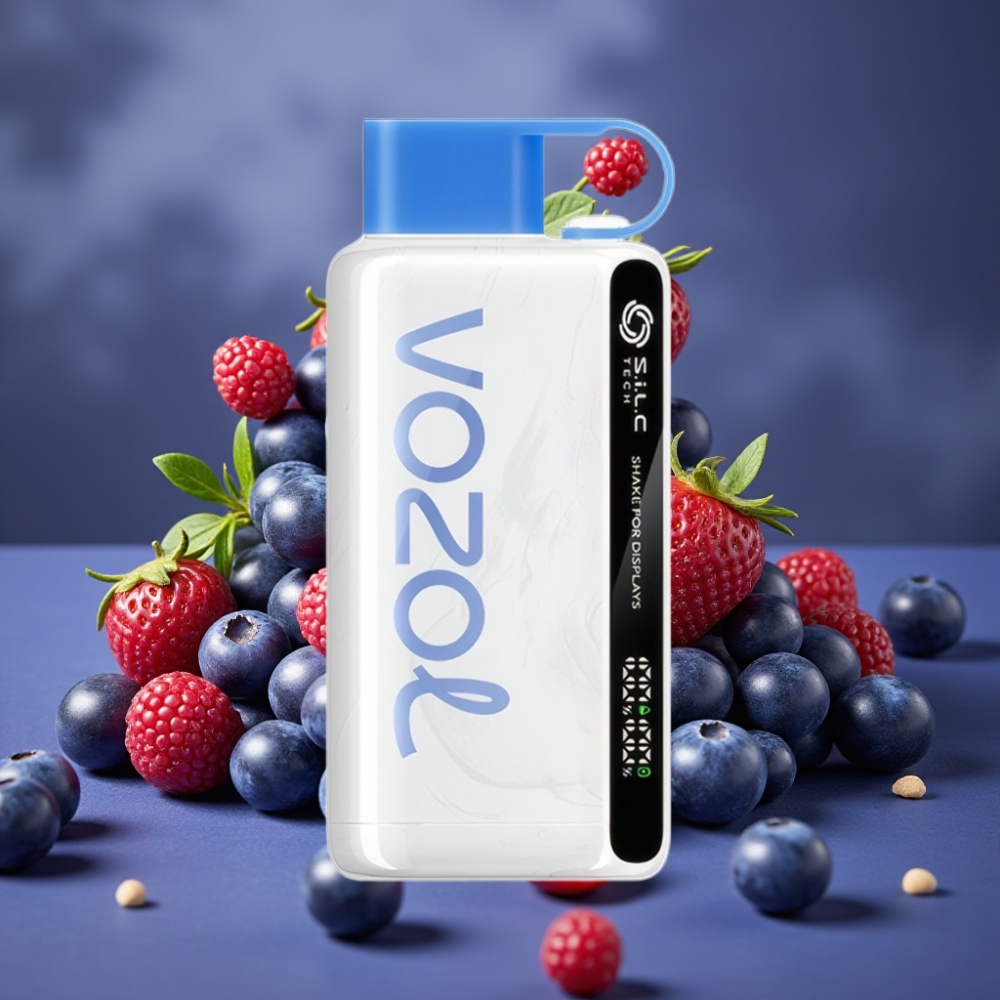 VOZOL STAR 9000/12000 Disposable Vape mit S.i.L.C TECH, 30% schnellere Aufladung, Blaubeer-Sturm