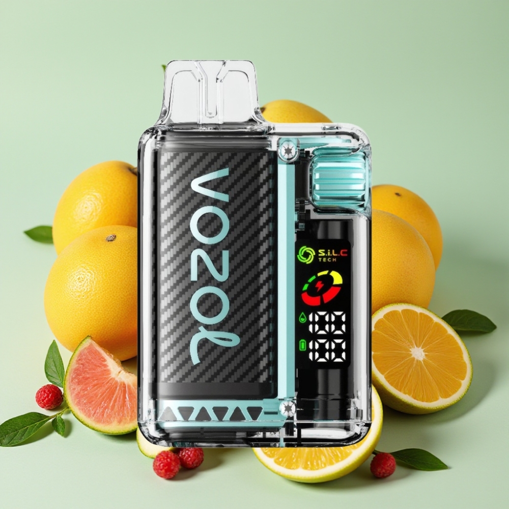 VOZOL Vista 20000 Puffs 650mAh OLED 6-Stufen Miami Minze