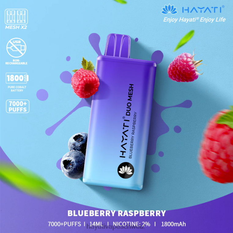 blaubeer-himbeere