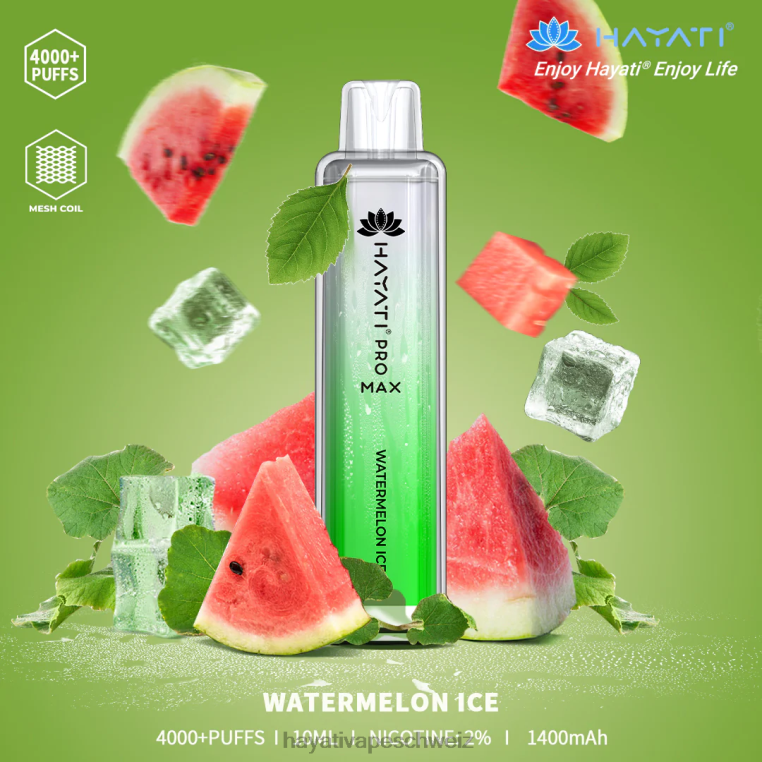 Wassermeloneneis