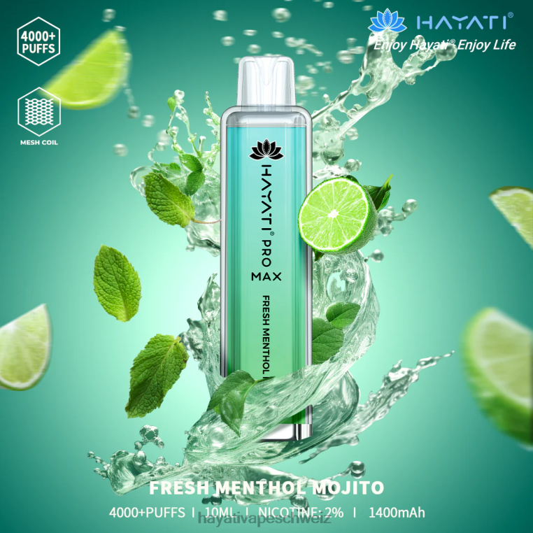 frischer Menthol-Mojito
