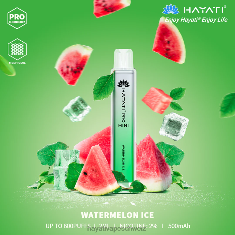 Wassermeloneneis