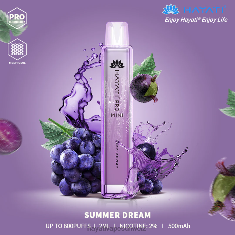 sommertraum